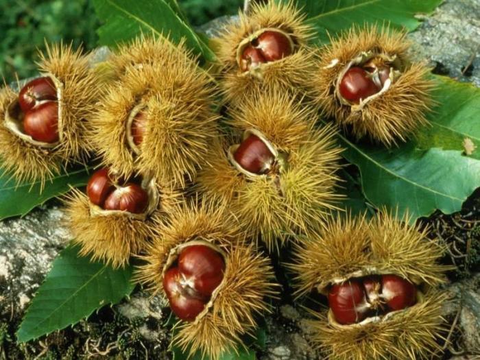 ����ũ��� ����